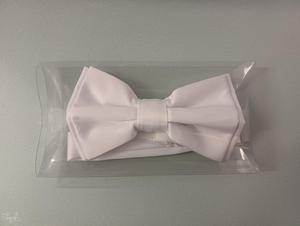 Papillon white